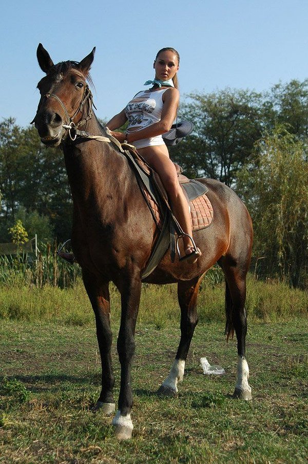 Проститутка Елена